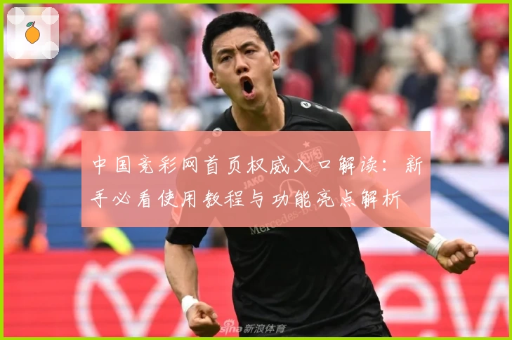 中国竞彩网首页权威入口解读：新手必看使用教程与功能亮点解析