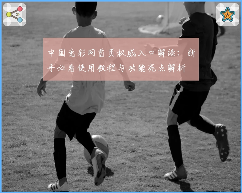 中国竞彩网首页权威入口解读：新手必看使用教程与功能亮点解析