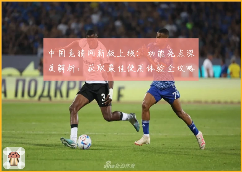 中国竞猜网新版上线：功能亮点深度解析，获取最佳使用体验全攻略