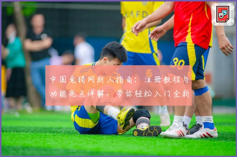 中国竞猜网新人指南：注册教程与功能亮点详解，带你轻松入门全新体验